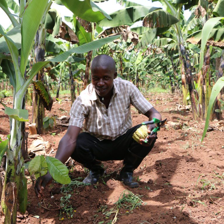 Joseph pose devant ses cacaoyers en Ouganda